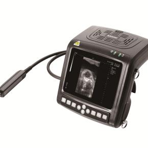 兽用超声波诊断仪 KX5200